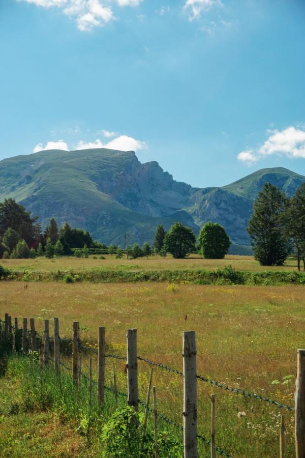 Vila Durmitor Nest Krstajic Žabljak Екстериор снимка