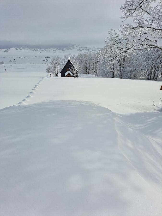 Vila Durmitor Nest Krstajic Žabljak Екстериор снимка