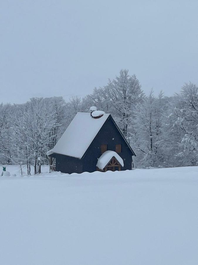 Vila Durmitor Nest Krstajic Žabljak Екстериор снимка